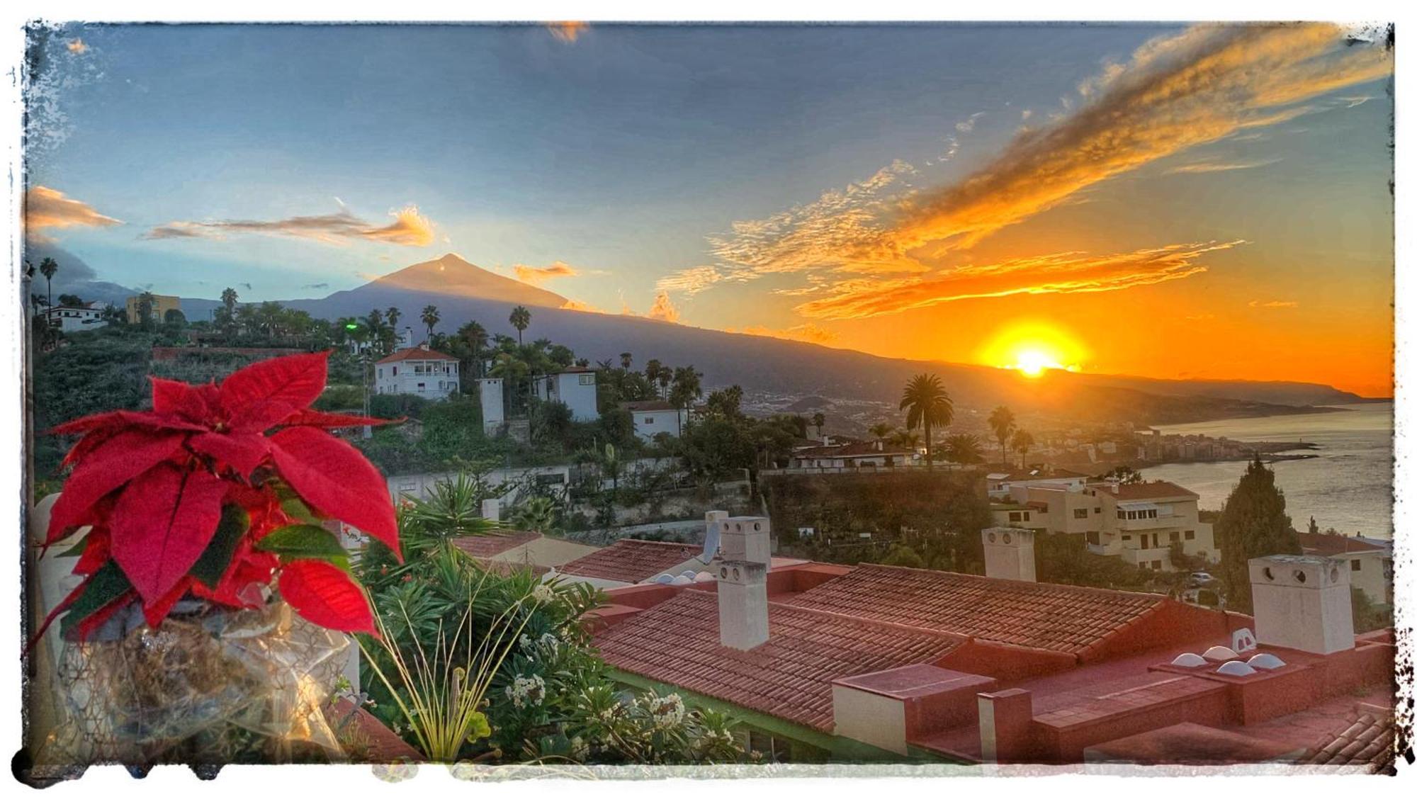 Casa Alena Holiday home Santa Ursula (Tenerife)